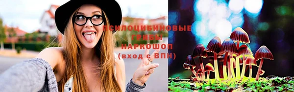 дурь Алексин