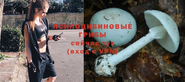 герыч Алзамай