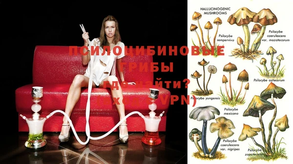 герыч Алзамай