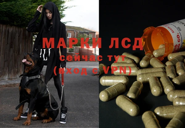 герыч Алзамай