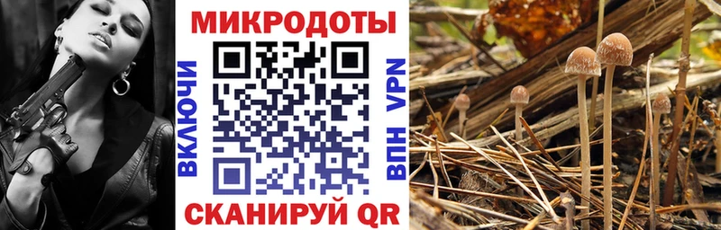 Псилоцибиновые грибы Magic Shrooms  купить наркоту  Цимлянск 